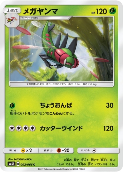 PK-SM5S-002 メガヤンマ C