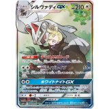 065/049 SR シルヴァディGX