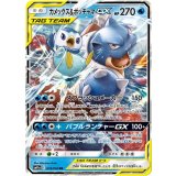 016/064 RR カメックス＆ポッチャマGX