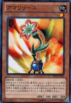 アマリリース DP14-JP018