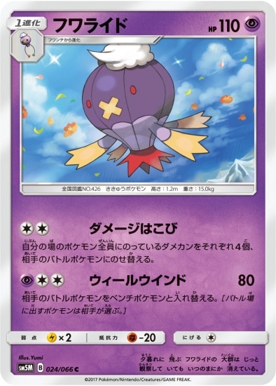 PK-SM5M-024 フワライド C