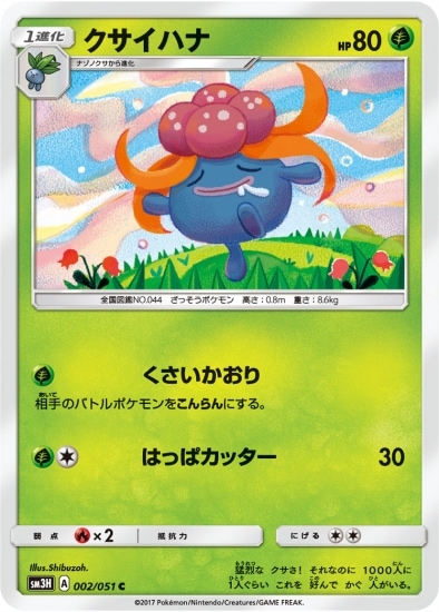 PK-SM3H-002 クサイハナ C