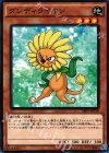 ダンディライオン SR01-JP018