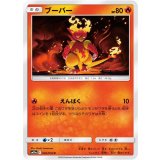 PK-SM10a-002 ブーバー C