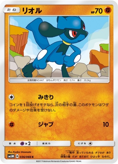 PK-SM5M-036 リオル C