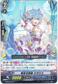 華ある新鋭 シラツユ G-CB07/037