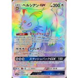 PK-SM10-113 ペルシアンGX HR