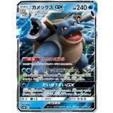 010/054 RR カメックスGX