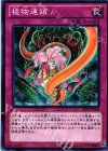 DE03-JP064 N 植物連鎖