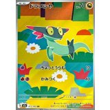 211/193 AR ドラメシヤ