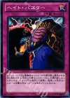 ヘイト・バスター [DE02-JP100]