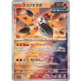 PK-SV8a-024 テツノドクガ