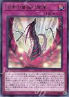 漆黒の薔薇の開華 DP21-JP027