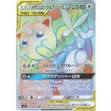 PK-SM12-114 メガミミロップ&プリンGX HR