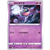 PK-S11-045 カゲボウズ C