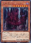 RIRA-JP016 R 天威龍-ヴィシュダ
