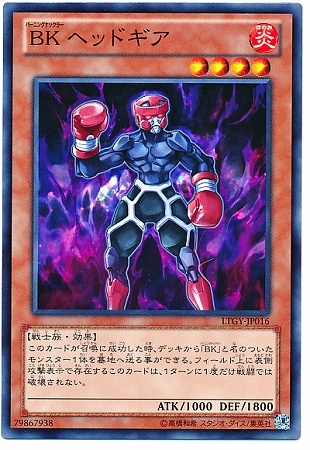 ＢＫ ヘッドギア LTGY-JP016