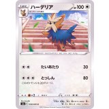 PK-S5a-059 ハーデリア C