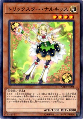 トリックスター・ナルキッス CIBR-JP004