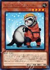 COTD-JP029 R レスキューフェレット