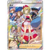 236/172 SAR カイ
