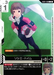 ソシエ・ハイム GD04-100