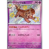 PK-SV4a-267 バウッツェル S
