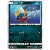 PK-SM9a-026 キバニア C