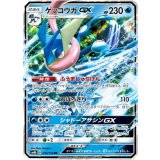 033/150 RR ゲッコウガGX