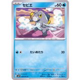 PK-SV2P-024 セビエ C