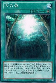 古の森 [DE04-JP027]