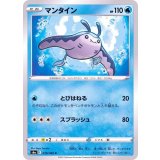 PK-S6a-018 マンタイン C