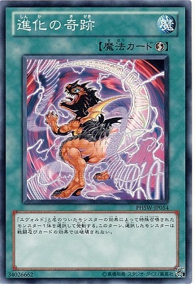 進化の奇跡 PHSW-JP054