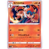 PK-S9-020 モウカザル C