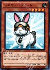 SR04-JP020 N レスキューラビット