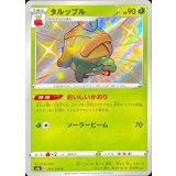 PK-S4a-213 タルップル S
