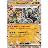 091/187 RR オーガポンいしずえのめんex