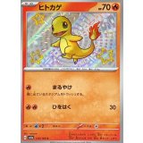 210/190 S ヒトカゲ