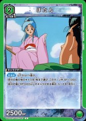 UA21ST/YYH-1-057 ぼたん C