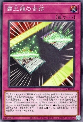 覇王龍の奇跡 AGOV-JP068