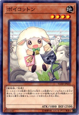ボイコットン FLOD-JP035