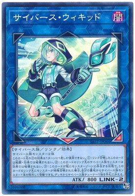 サイバース・ウィキッド SAST-JP044