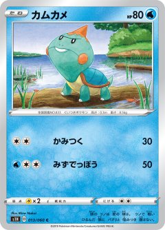 PK-S1H-013 カムカメ C