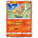 PK-SM11a-009 ポニータ C
