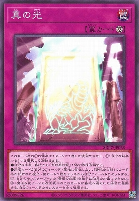 真の光 SD47-JP028