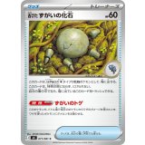 【M5】【C】【071/081】古びたずがいの化石