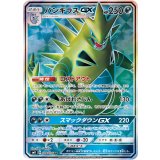 099/095 SR バンギラスGX
