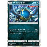 PK-SM8B-075 アクジキング
