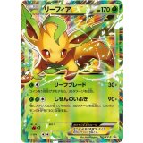 リーフィアEX[192/XY-P]