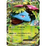 フシギバナEX【233/XY-P】